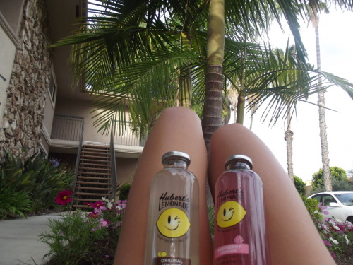 Tropical xo
