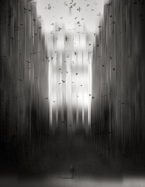 fiore-rosso:  gaby moel. 