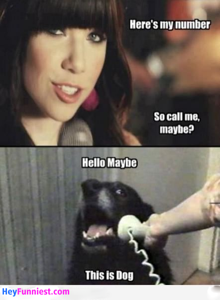 laughingstation:  You will laugh out loud! 