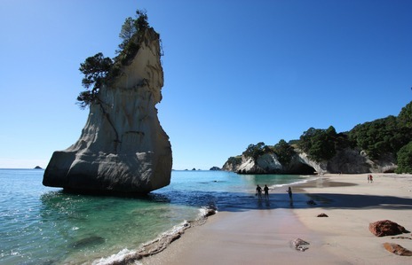 c-oconutparadisee:   Cathedral Cove, New Zealand   ☯ ☮ ❂ ☼ 