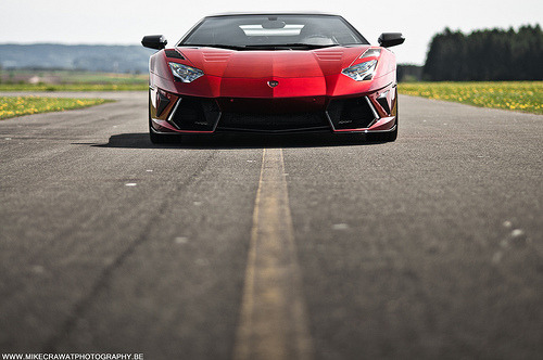 automotivated:  Cannibal - Mansory Lamborghini Aventador (by MikeCrawatPhotography ♥)
