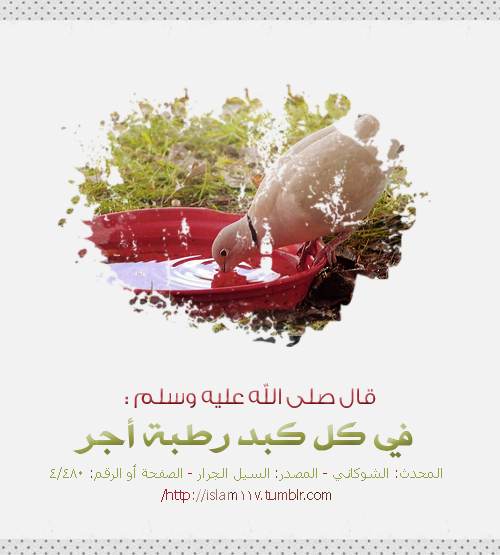 طُيوُر السمآءْ