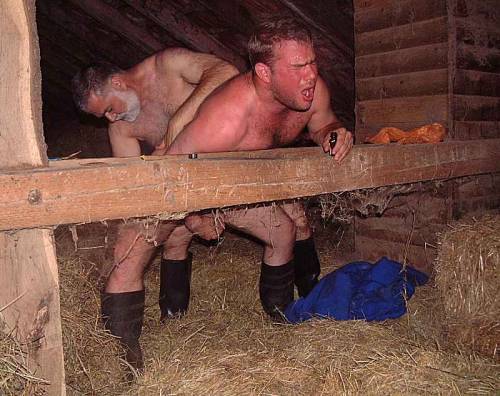 frenchsslave: skinheadbdsm: skinalpha: #pig#manureparty (via TumbleOn) OuiiiiiQuand la prochaine j a