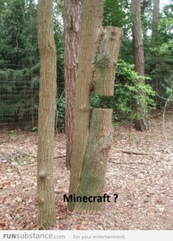 funsubstancecom:  Minecraft in real life!