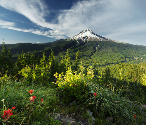 bluepueblo:  Mount Hood, Oregon photo by bret 