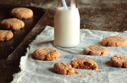 phoods:  (via Peanut Butter Cornmeal Cookies - Home - Pastry Affair)