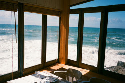 aquaticwonder:  (by double_vee)