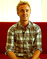 jvh1988:  Tom Felton. Perfect man is perfect 