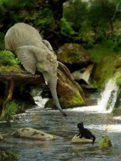 Magicalnaturetour:  Hold On Little One ~  Photo By Rona Helvrich