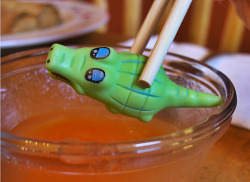 littlestcrocodile:  (╥﹏╥) I am a crocodile, not a piece of sushi! 