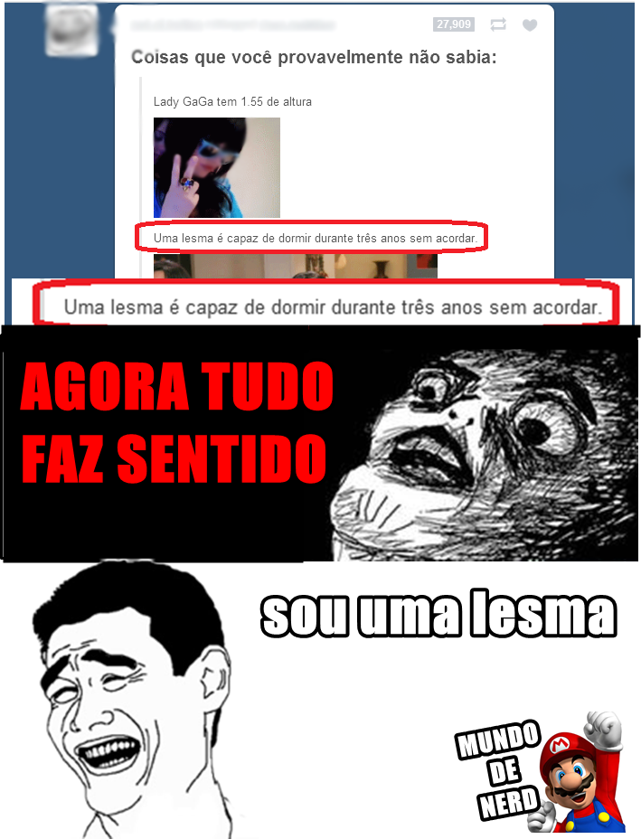  (Mundo-de-Nerd) 