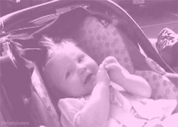 thebabyluxers:  Happy Birthday Baby Lux! OMG Our adorable baby is growing so fast, today celebrates its first year, i can’t believe it! ♥