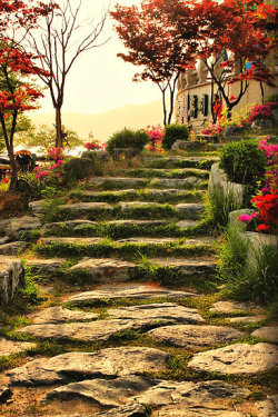 bluepueblo:  Stone Pathway, Bomunho Lake,