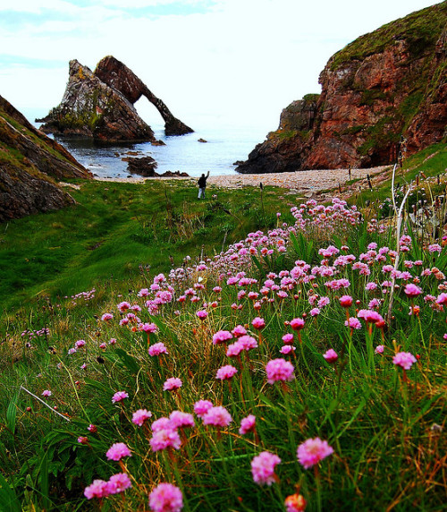 Bow Fiddle Rock on Moray coast, Scotland (by plot19).