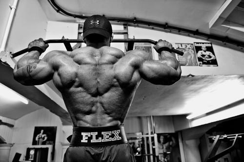 drwannabe:  Flex Lewis [view all posts of Flex] 