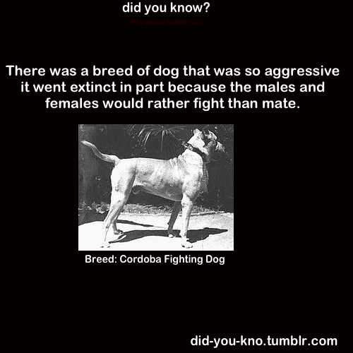 did-you-kno:  Source