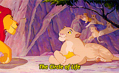 Hey, Disney Lovers!