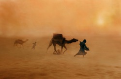 politics-war:  Photo: Steve McCurry 