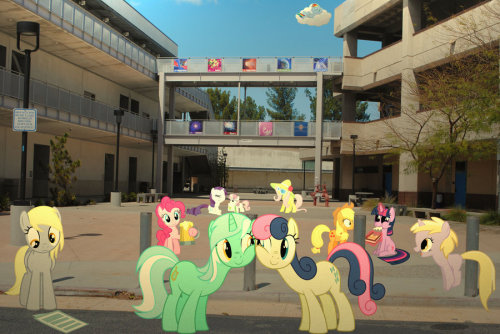 royalcanterlotvoice:  Ponies in College by ~gifsthebrony