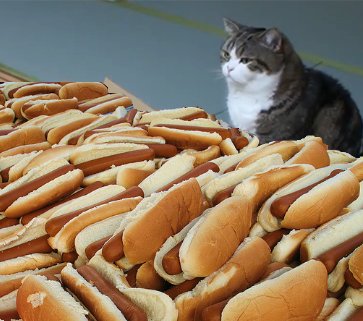 (∩0_0)⊃━☆ °.* °.*