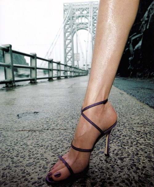 royaume:  Manolo Blahnik’s mauve strappy sandals photographed by Raymond Meier