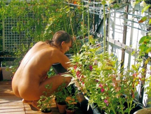 mysouljourney:  Nice, I love nude gardening too.