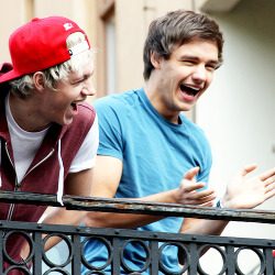 itsfunnylol:  OMG. Go niam!!!! 