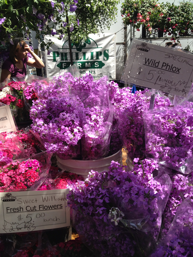 Should have used my cash for these…bought maple cotton candy instead.
Union Square Greenmarket, NYC