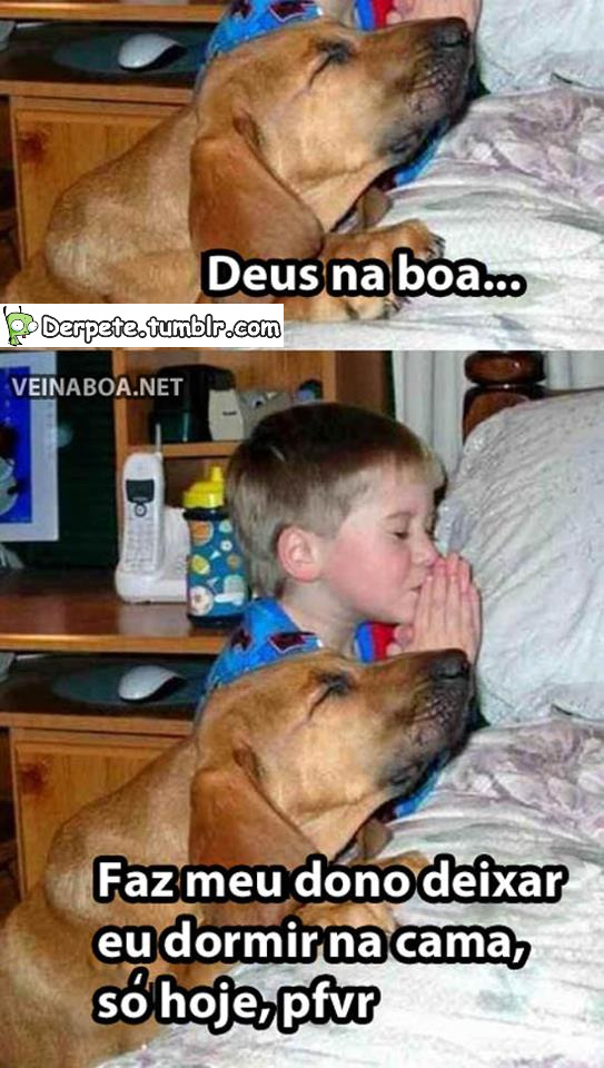 derpete:  que fofo kk 
