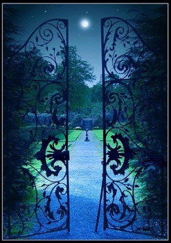 bluepueblo:  Moonlit Garden Gate, Provence,