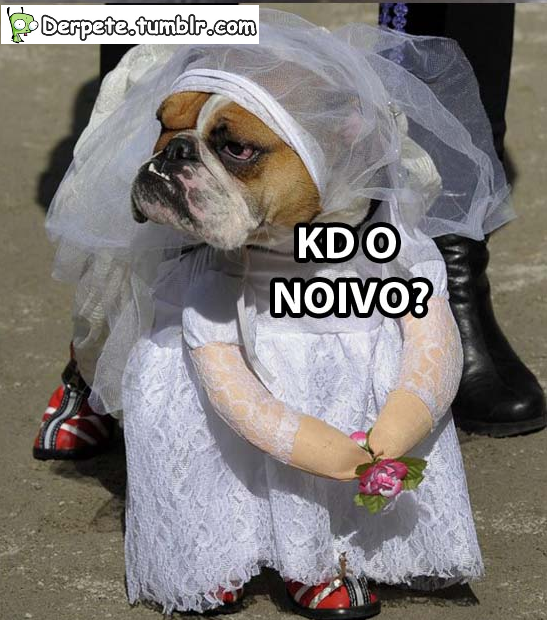 derpete:  cade o noivo vei? kk