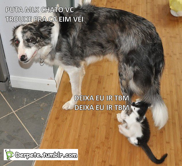 derpete:  poha véi kk 