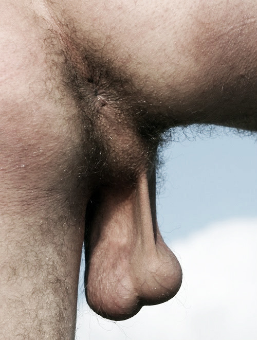 huge-jock-cocks: it-slave: This faggots tongue belongs there Sir HUGE COCKS (Sydney) (@hugejockcocks