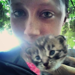 Kitten #1 :) (Taken with instagram)