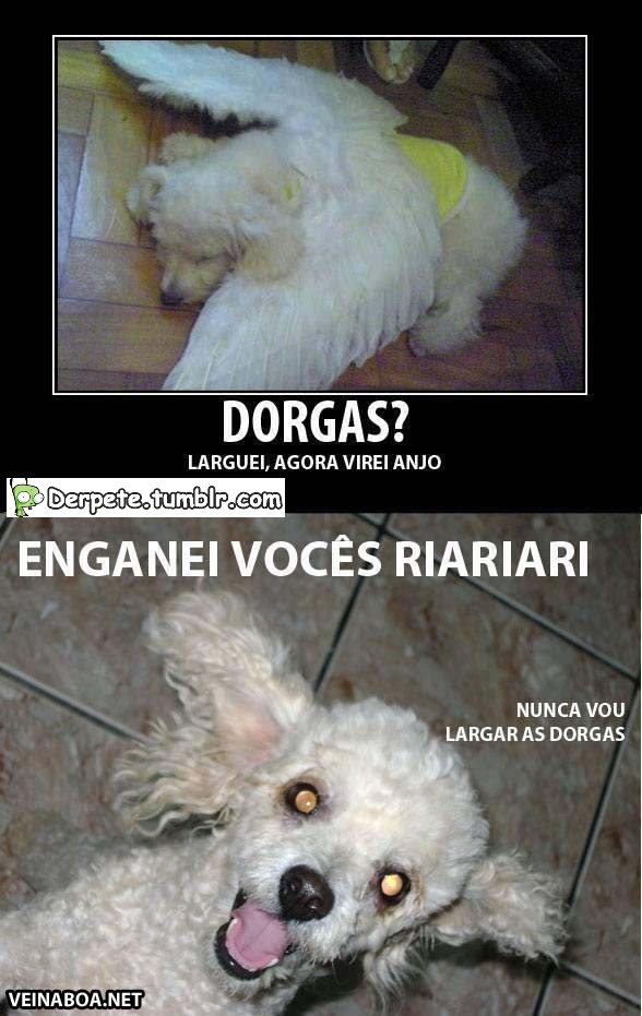 derpete:  nunca largarei kk 