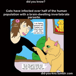 did-you-kno:  Cats have also infected rats