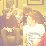  “The fans.. call me and Louis, Larry Stylinson because we get on really well.