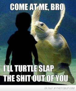 brrrrains:  COME AT ME BRO! ILL TURTLE SLAP THE SHIT OUTTA YOU! :D