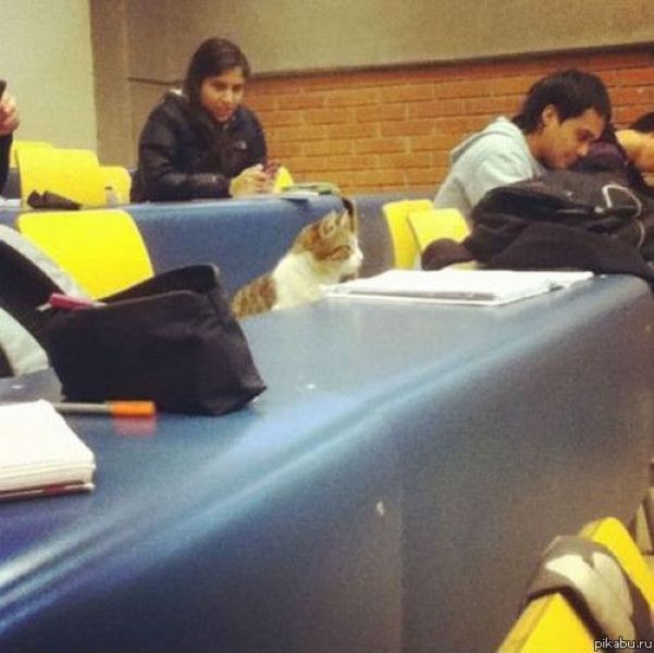 Hahahahahs wtf ????:0