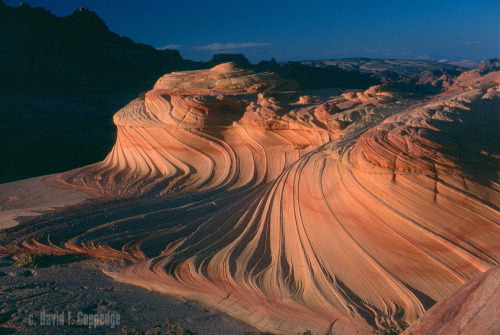 abluegirl:The geology of the Coyote Buttes, by Dave Coppedge.