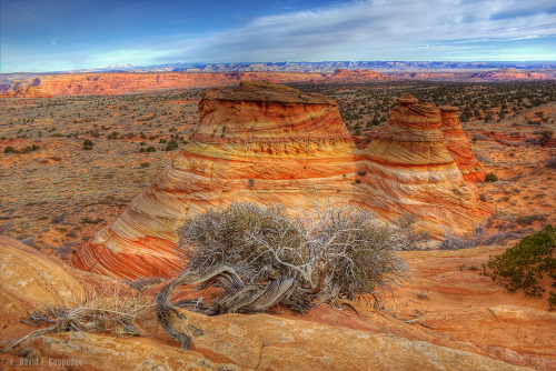 abluegirl:The geology of the Coyote Buttes, by Dave Coppedge.