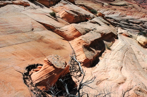 abluegirl:The geology of the Coyote Buttes, by Dave Coppedge.