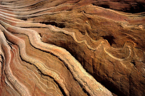 abluegirl:The geology of the Coyote Buttes, by Dave Coppedge.