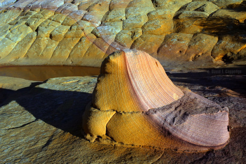 abluegirl:The geology of the Coyote Buttes, by Dave Coppedge.