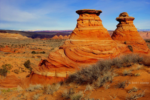 abluegirl:The geology of the Coyote Buttes, by Dave Coppedge.