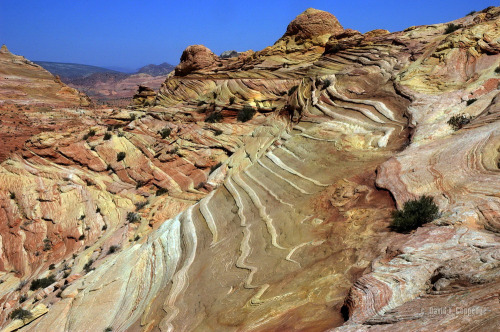 abluegirl:The geology of the Coyote Buttes, by Dave Coppedge.