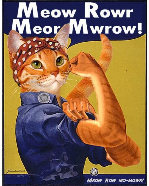  mom: “what are you doing?” me: “I’m on tumblr.” mom: “the feminist cat website?”    