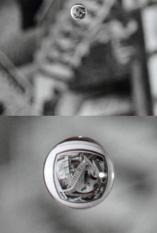 mymodernmet.comReddit’s Smsilton took this incredible 60mm macro shot of an iconic MC Escher paintin