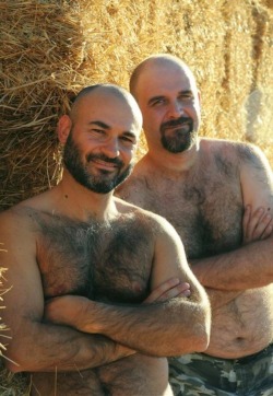 Gay Bears Woof