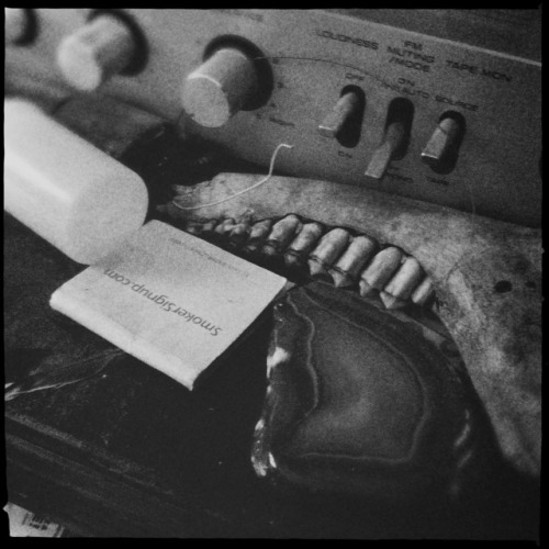 Film. Matches. Bones. 